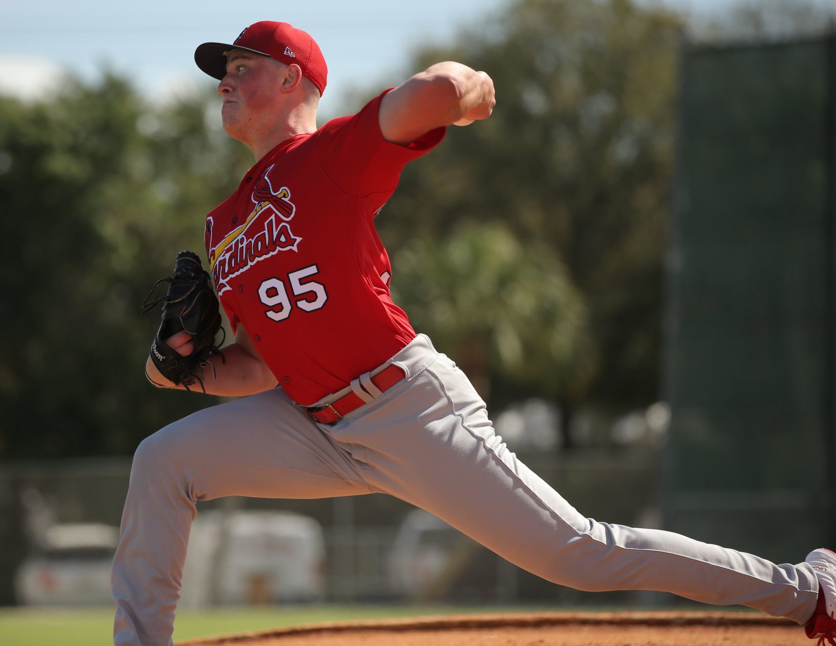 2019 Cardinals spring training